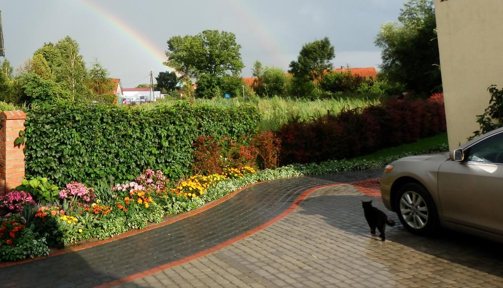 Sloneczny Wodnik Apartment Braniewo Luaran gambar