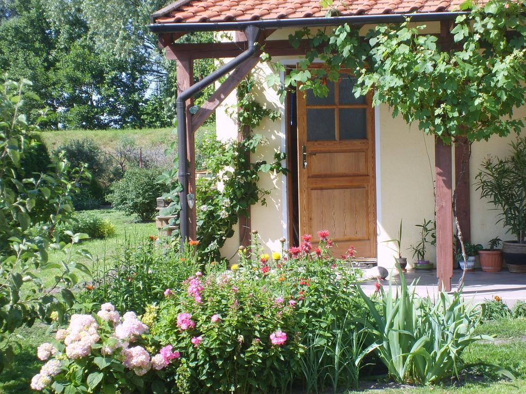 Sloneczny Wodnik Apartment Braniewo Luaran gambar